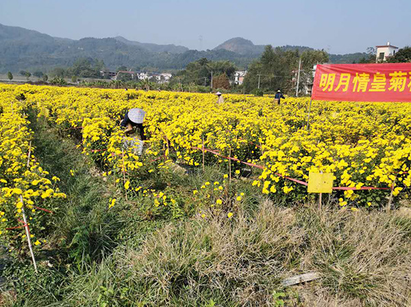 基地展示